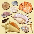 Set of hand drawn seashell icons Royalty Free Stock Photo