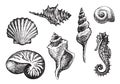 Set of hand-drawn seashells of various shapes