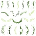 Set of hand drawn silhouette tree branches with laurel, oak and olive foliate. Royalty Free Stock Photo