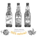 Set hand drawn sketch bottles of beer, hop, wheat Vintage design bar, restaurant, cafe menu on white background