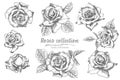 Set of Hand drawn sketch roses, lives and branches Detailed vintage botanical illuatration. Floral frame. Black