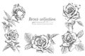 Set of Hand drawn sketch roses, lives and branches Detailed vintage botanical illuatration. Floral frame. Black