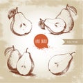 Set of hand drawn sketch style pears. sliced ripe pears. Royalty Free Stock Photo