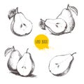 Set of hand drawn sketch style pears. Sliced ripe pears