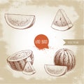 Set of hand drawn sketch style watermelons and watermelon slices. Vintage design fruits. Royalty Free Stock Photo