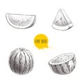 Set of hand drawn sketch style watermelons and watermelon slices. Vintage design fruits. Eco summer food illustrations Royalty Free Stock Photo