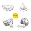 Set of hand drawn sketch style watermelons and watermelon slices. Vintage design fruits. Organic summer food illustrations