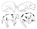 Illustration of Hand drawn sleeping dogs