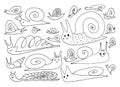 Set of Hand Drawn Snails or Slugs Isolated on White Background