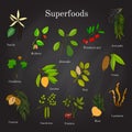 Set of hand drawn superfood acai, goji, cacao, lucuma, vanilla, mulberry, avocado, noni, carob, guarana, maca, coconut