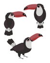 Set of hand drawn tropical birds toucan, black and red colors. Print, elements for children\'s holidays