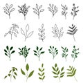Set of hand drawn vector botanical elements