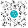 Set of Hand drawn vector calligraphy letter B. Script font. Isolated letters written with ink. Handwritten brush style Royalty Free Stock Photo