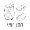 Set of hand drawn vector elements isolated on white background. Apple cider with spices and fruit slices. Popular winter