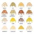 Set of hand drawn vector handful of grains and cereals