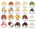 Set of hand drawn vector handful of nuts and seeds