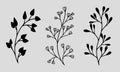 Set of hand drawn vector illustrations in black and white style: branches with leaves, flowers, wildflowers Royalty Free Stock Photo