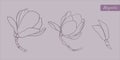 Set of hand drawn vector outline magnolia flowers on the grey background