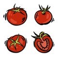 Set of hand-drawn vector tomatoes. Fresh red tomatoes in vintage colorful style.Isolated on white background. Can use in food