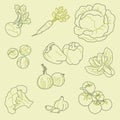 Set of hand-drawn vegetables, organic, healthy food, vector