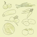 Set of hand-drawn vegetables, organic, healthy food, vector Royalty Free Stock Photo