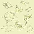 Set of hand-drawn vegetables, organic, healthy food, vector Royalty Free Stock Photo