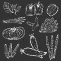 Set of hand drawn vegetables, Organic herbs and spices, Healthy food drawings set. Royalty Free Stock Photo