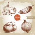 Set of hand drawn vegetables. Tomatoes, onion, cucumber and garlics. Royalty Free Stock Photo