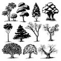Set of Hand Drawn Vintage Trees