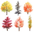 Set of hand drawn watercolor autumn trees on white Royalty Free Stock Photo