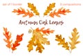 Watercolor autumn oak leaves set. 1 border and 3 compositions