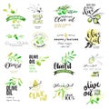 Set of hand drawn watercolor labels and elements of olive oil