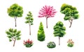 Set of hand drawn watercolor trees illustrations, bushes and flowers isolated on white Royalty Free Stock Photo