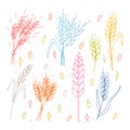 Set of hand drawn wheat ears. Grain spikelets. Doodle, sketch. Bakery design elements Royalty Free Stock Photo