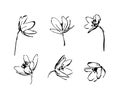 Set of hand drawn wildflowers. Outline flower plant silhouette brush ink painting. Black isolated vector on white background Royalty Free Stock Photo