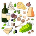 Set of hand drawn wine set with different kinds of cheese, nuts, olives and figs on a white background Royalty Free Stock Photo