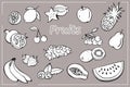 Set of Hand-drawning fruits and berries in line style. Vector illustration. Royalty Free Stock Photo