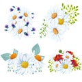 Set of 3 hand painted daisy illustration