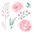 Set of hand painted pink watercolor flowers and greenery leaves.