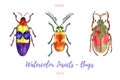 Set of hand painted watercolor bugs, vector.
