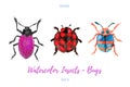 Set of hand painted watercolor bugs, vector.