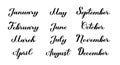 Set of hand written names of months. Modern calligraphy hand lettering months titles. Easy to edit vector template for calendar,