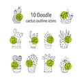 Cactus succulents vector illustrations.