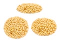 Set of handfuls of seeds from different angles - peeled pine nut kernels, close up Royalty Free Stock Photo