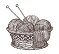 Set for handmade knitting. Basket with balls of yarn and knitting needles. Vintage vector sketch vector illustration Royalty Free Stock Photo