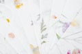 Set of the Handmade recycled flower and leaf paper background Royalty Free Stock Photo