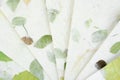 Set of the Handmade recycled flower and leaf paper background Royalty Free Stock Photo