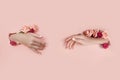 Set hands with artificial flowers sticking out of hole pink paper background. Hand in various poses, the pattern layout for your