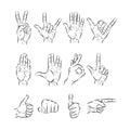 Set of hands showing different gestures. vector illustration