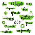 Set of handwritten brushpen lettering and calligraphy ecology word. Template for eco logo, label and badge.